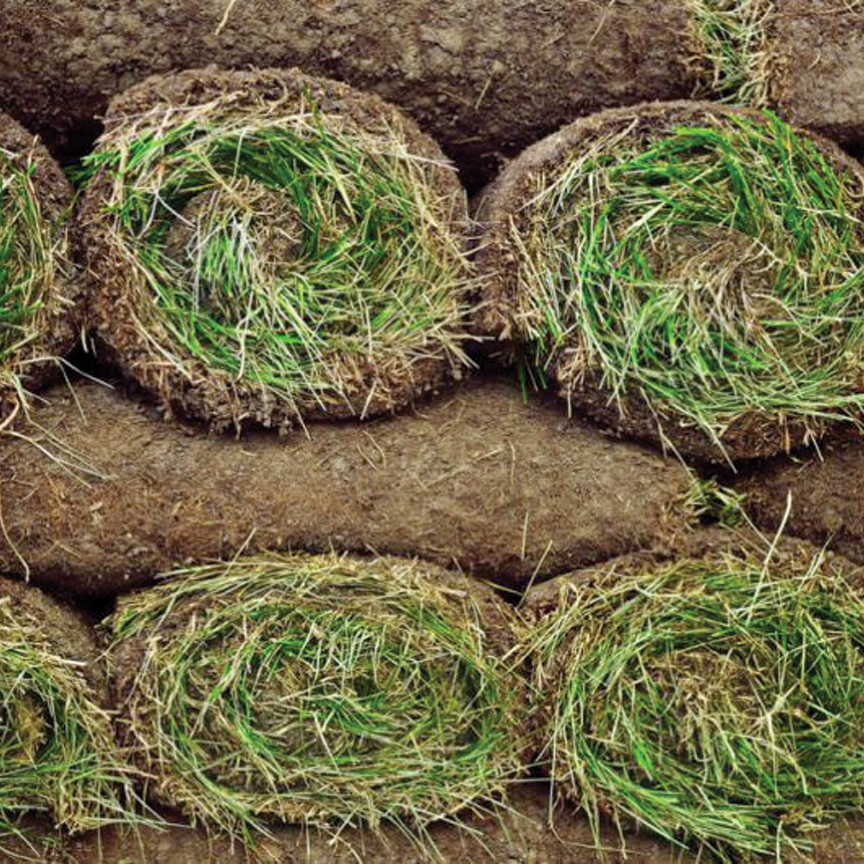 Pirita Landscaping Inc. - Pic 4